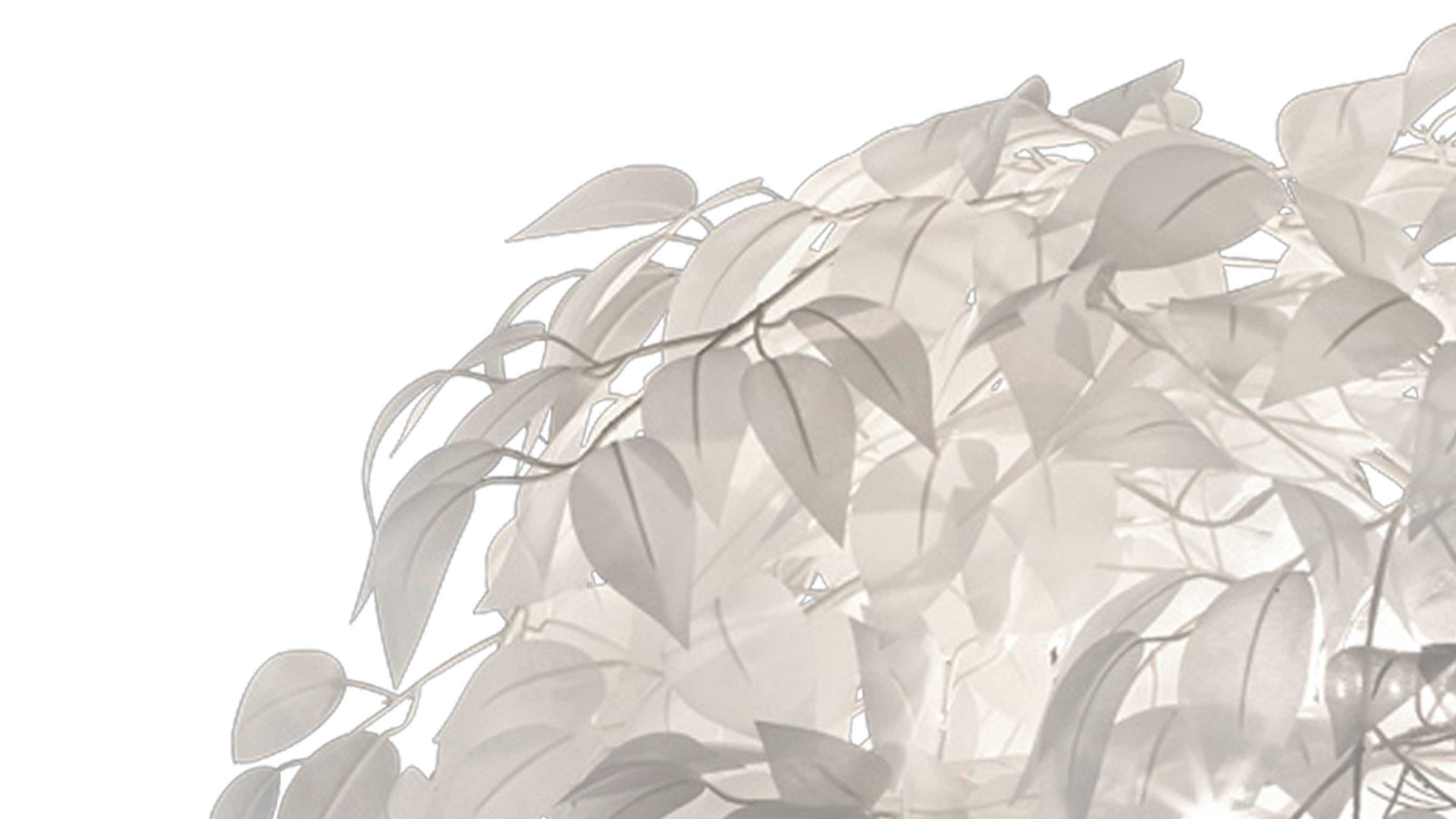 Pendelleuchte Reality leuchten aus Kunststoff in Weiß RL Pendelleuchte Leavy bzw. Hängelampe Weiß & Chrom - Durchmesser ca. 70 cm