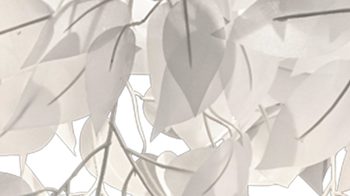 Deckenleuchte Reality leuchten aus Kunststoff in Weiß RL Deckenleuchte Leavy bzw. Deckenlampe Weiß & Chrom - Durchmesser ca. 38 cm