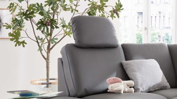 Kopfstütze modulmaster aus Leder in Anthrazit Modulmaster MM-PN1080 - Kopfstütze CKS anthrazitfarbenes Leder Torro