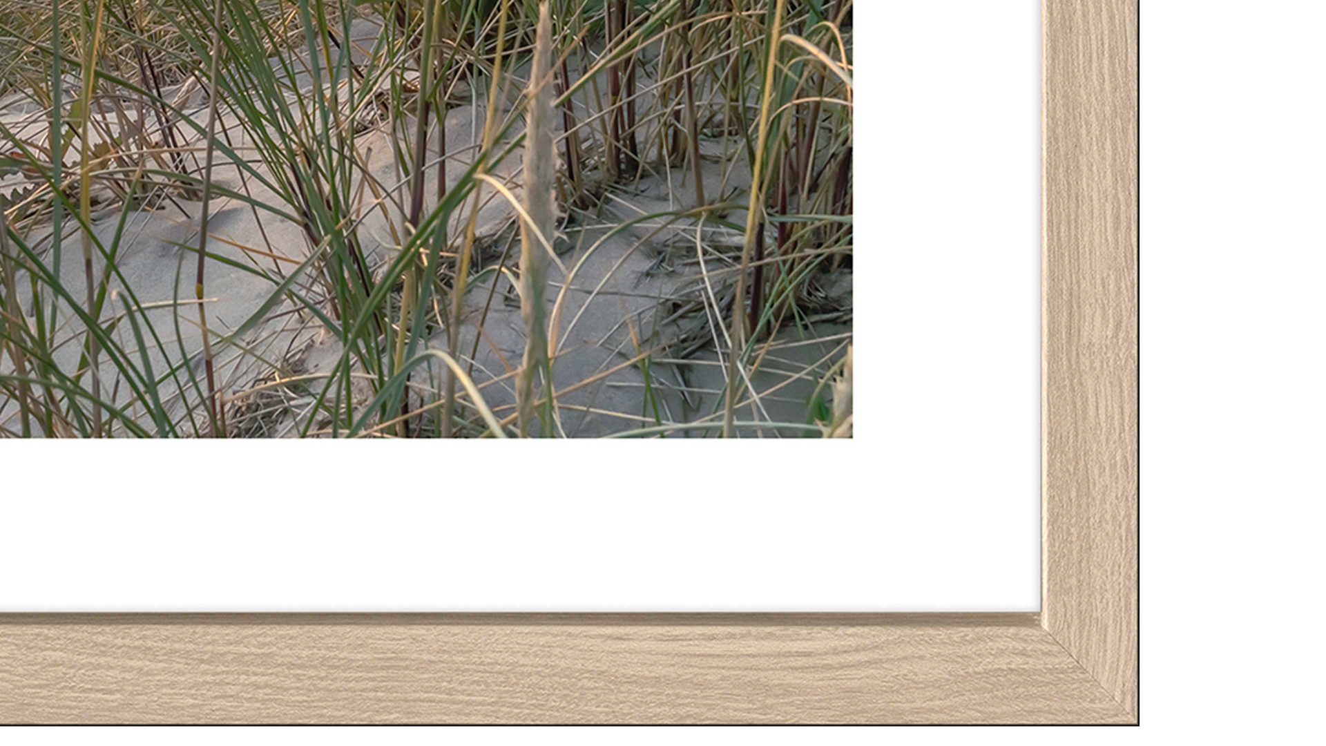 Kunstdruck Pro®art bilderpalette aus Karton / Papier / Pappe in Weiß PRO®ART Kunstdruck Nordic Beach Atmosphere I Eiche, Strandmotiv - ca. 55 x 55 cm