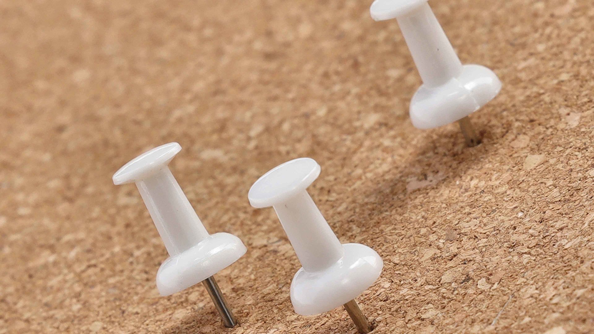 Zubehör Zeller present aus Kunststoff in Weiß Push Pins Weiß - 25 Stück