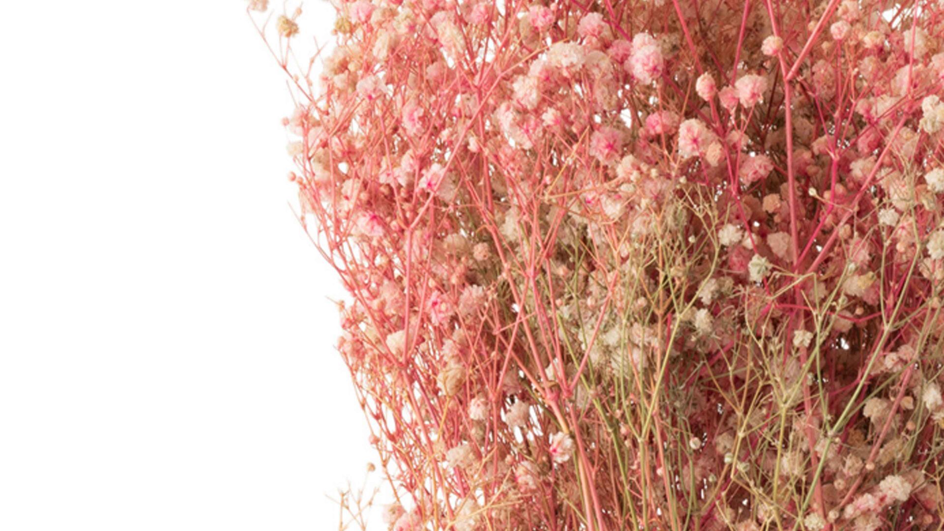 Blume Jolipa aus Naturfaser in Rosa Gipskraut-Strauß Rosé- & Naturtöne - Höhe ca. 84 cm