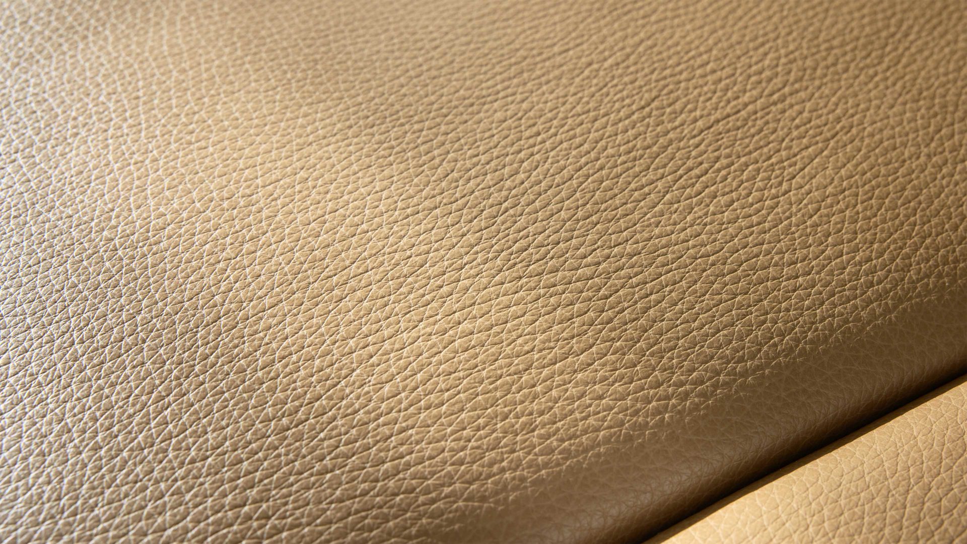 Zweisitzer Interliving aus Leder in Hellbraun Interliving Sofa Serie 4004 - Zweisitzer N100 fangofarbenes LongLife-Leder Z84-21 - Länge ca. 220 cm