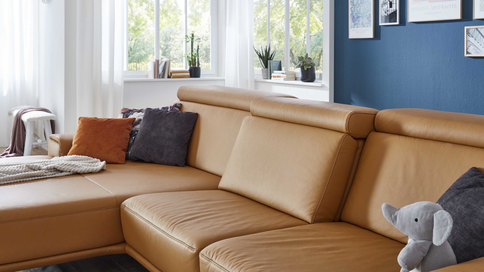 Funktion modulmaster aus Metall in Transparent Modulmaster MM-PN1167 - Sitztiefenverstellung manuell