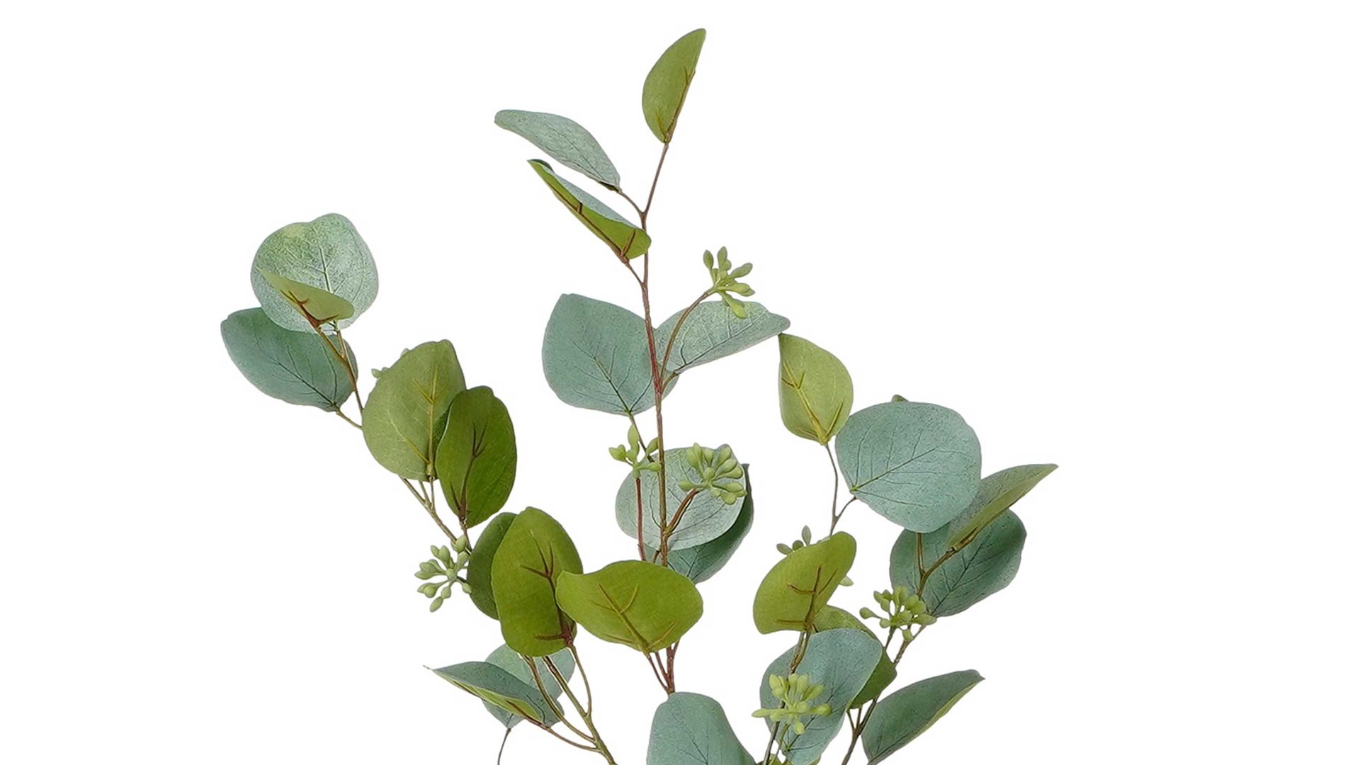 Zweig Edelman® aus Kunststoff in Grün Eukalytuszweig Kunststoff - Länge ca. 87 cm