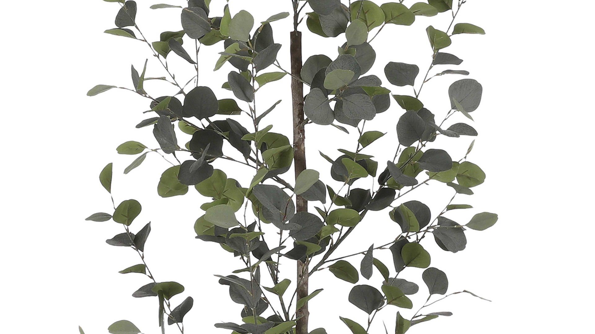 Pflanze Edelman® aus Kunststoff in Grün Eukalyptusstrauch Kunststoff - Höhe ca. 150 cm