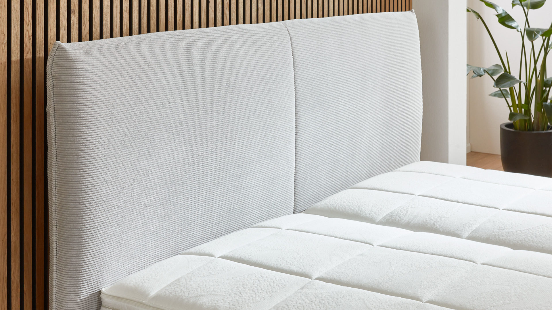 Polsterbett comfortmaster besser sitzen, liegen, leben aus Stoff in Hellgrau Comfortmaster Polsterbett Serie OC-PB23104 silberfarbener Feincord – Liegefläche ca. 180 x 200 cm