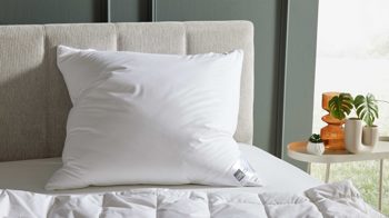 Kopfkissen Interliving aus Stoff in Weiß Interliving Kopfkissen Serie 9204 - Daunenkissen 70 % Federn & 30 % Daunen, ca. 1.100 g - ca. 80 x 80 cm