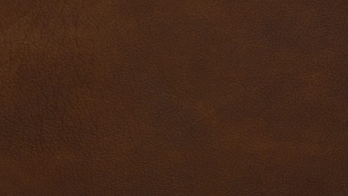 Polsterstuhl Koinor aus Leder in Braun KOINOR Dining System - Armlehnstuhl muskatfarbenes Leder India & cognacfarbener Loden 39