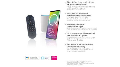 Stehleuchte Paul neuhaus aus Metall in Metallfarben Paul Neuhaus Q®-MALINA - Stehlampe Stahl & weißes Acrylglas – Höhe ca. 139 cm