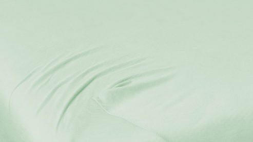 Spannbettlaken H. g. hahn haustextilien® aus Stoff in Hellgrün PRIMERA Spannbettlaken eukalyptusfarbener Baumwolljersey - ca. 190 x 200 cm