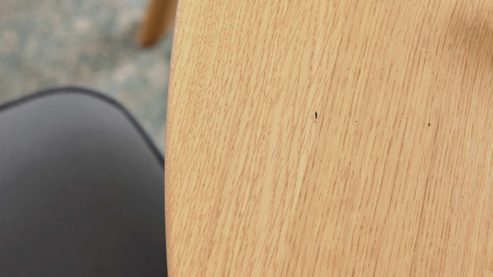 Tischgruppe Interliving aus Holz in Holzfarben Interliving Esszimmer Serie 5102 – Essgruppe mit Schalenstühlen Wildeiche & graphitfarbene Mikrofaser Atlantis