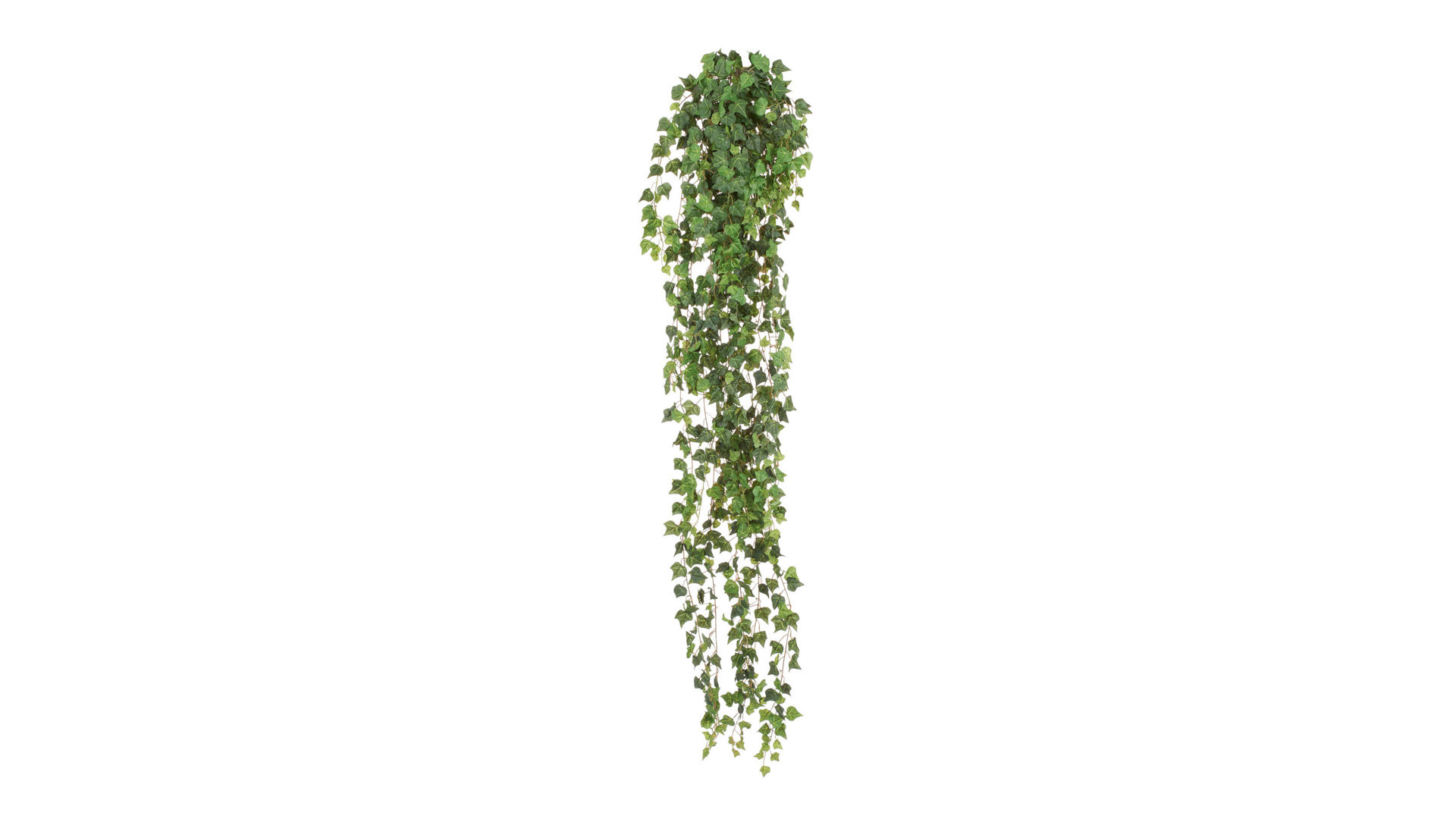 Pflanze Gasper aus Kunststoff in Grün Englische Mini-Efeuranke künstliche Rankpflanze - ca. 120 cm lang