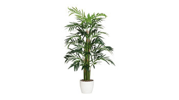 Pflanze Gasper aus Kunststoff in Grün Bambuspalme künstliche Grünpflanze - ca. 100 cm hoch